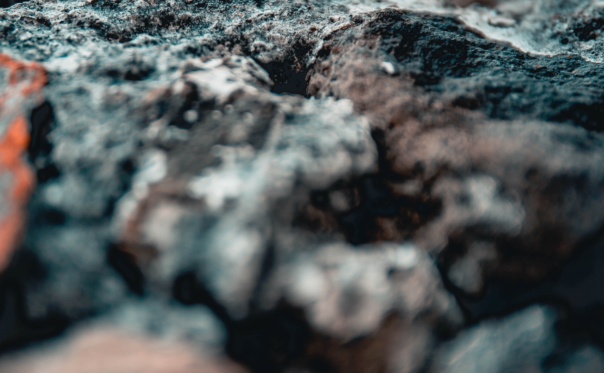 The right way to build your website.